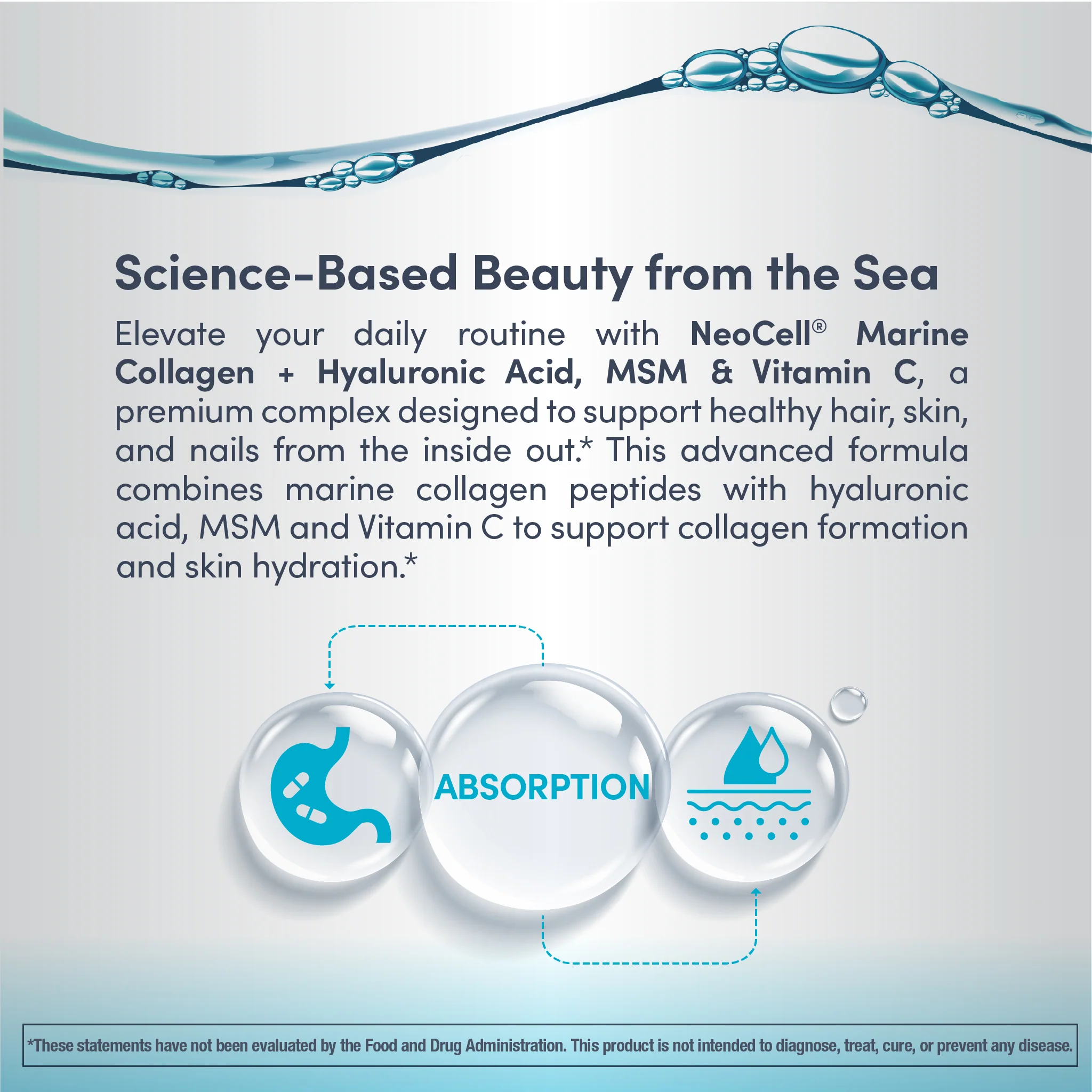 Marine Collagen Peptides + Hyaluronic Acid, MSM & C, 7 oz (200 g) Powder - Image 4